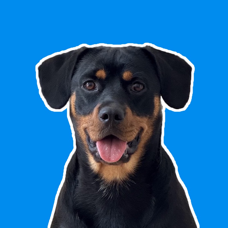 Chimichurri, Chief Happiness Officer honoraria de Magnesium
